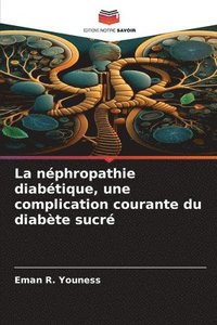 bokomslag La nphropathie diabtique, une complication courante du diabte sucr