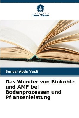 Das Wunder von Biokohle und AMF bei Bodenprozessen und Pflanzenleistung 1