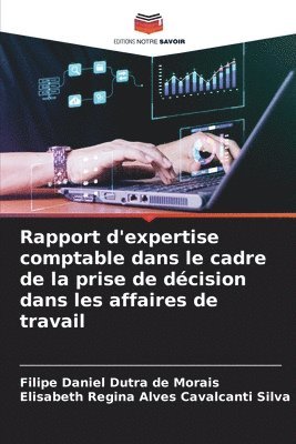 Filipe Daniel Dutra de Morais, Elisab Regina Alves Cavalcanti Silva, Elisab... Regina Alves Cavalcanti Silva, Elisabeth Regina Alves Cavalcanti Silva - Rapport d'expertise comptable dans le cadre de la prise de décision dans les affaires de travail, Häftad