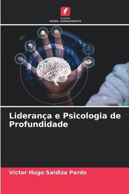 bokomslag Liderana e Psicologia de Profundidade