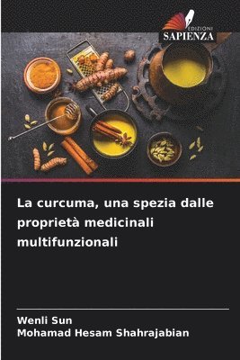 La curcuma, una spezia dalle propriet medicinali multifunzionali 1