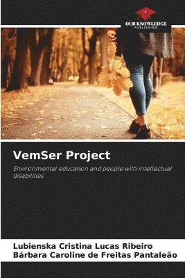 VemSer Project 1
