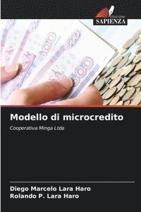 bokomslag Modello di microcredito