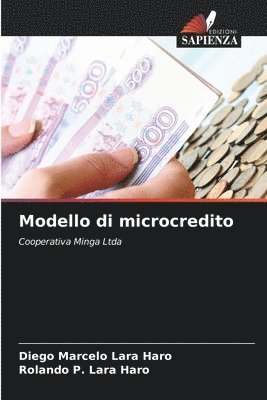 Modello di microcredito 1