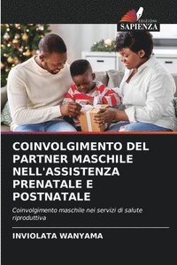 bokomslag Coinvolgimento del Partner Maschile Nell'assistenza Prenatale E Postnatale