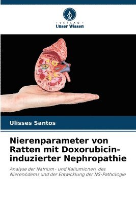 Nierenparameter von Ratten mit Doxorubicin-induzierter Nephropathie 1