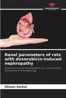 Renal parameters of rats with doxorubicin-induced nephropathy 1