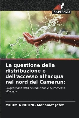 La questione della distribuzione e dell'accesso all'acqua nel nord del Camerun 1