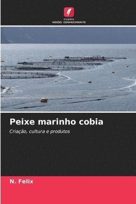 Peixe marinho cobia 1