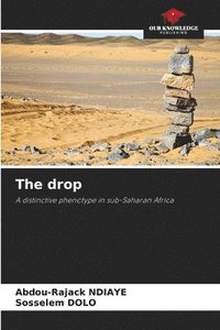 bokomslag The drop