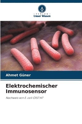 bokomslag Elektrochemischer Immunosensor