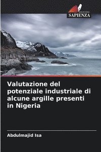bokomslag Valutazione del potenziale industriale di alcune argille presenti in Nigeria