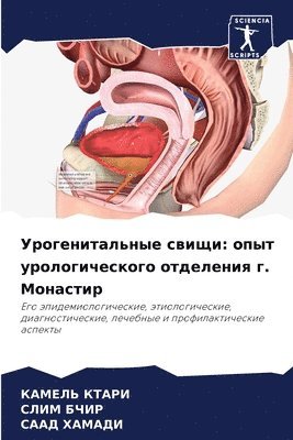 &#1059;&#1088;&#1086;&#1075;&#1077;&#1085;&#1080;&#1090;&#1072;&#1083;&#1100;&#1085;&#1099;&#1077; &#1089;&#1074;&#1080;&#1097;&#1080; 1