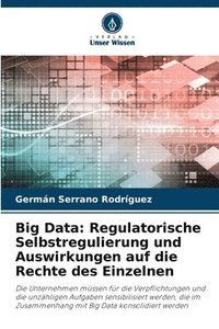 bokomslag Big Data