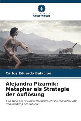 bokomslag Alejandra Pizarnik