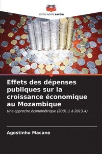 bokomslag Effets des dpenses publiques sur la croissance conomique au Mozambique