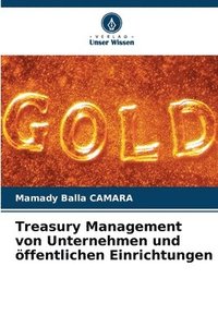 bokomslag Treasury Management von Unternehmen und ffentlichen Einrichtungen