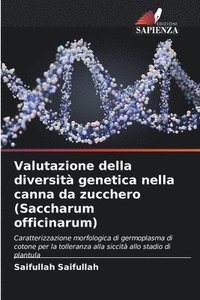 bokomslag Valutazione della diversit genetica nella canna da zucchero (Saccharum officinarum)
