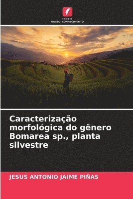 Caracterizao morfolgica do gnero Bomarea sp., planta silvestre 1