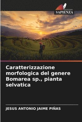 Caratterizzazione morfologica del genere Bomarea sp., pianta selvatica 1