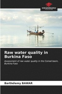 bokomslag Raw water quality in Burkina Faso
