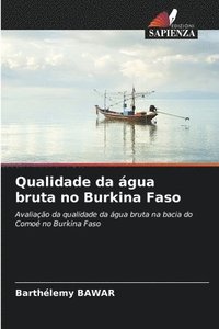 bokomslag Qualidade da gua bruta no Burkina Faso