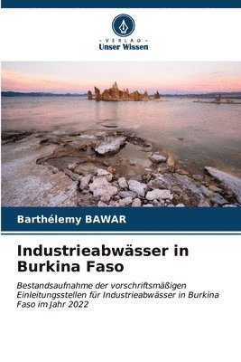 bokomslag Industrieabwsser in Burkina Faso