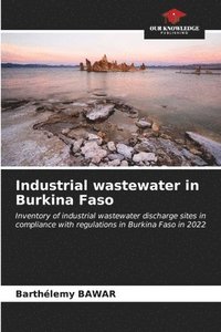 bokomslag Industrial wastewater in Burkina Faso