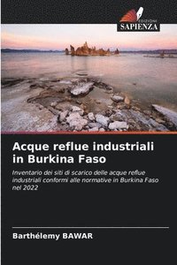bokomslag Acque reflue industriali in Burkina Faso
