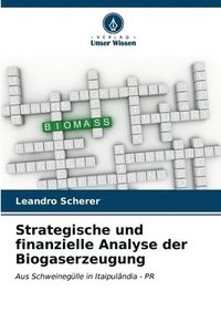 bokomslag Strategische und finanzielle Analyse der Biogaserzeugung