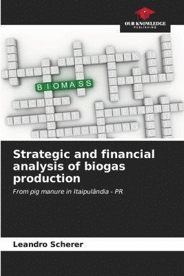 bokomslag Strategic and financial analysis of biogas production