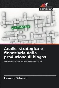 bokomslag Analisi strategica e finanziaria della produzione di biogas