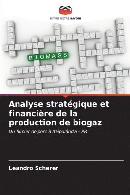 Analyse stratgique et financire de la production de biogaz 1