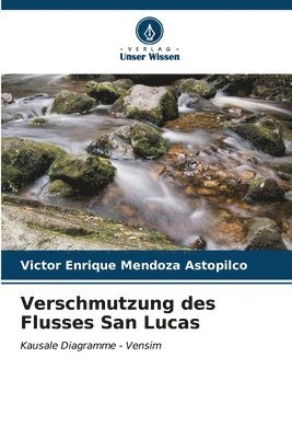 Verschmutzung des Flusses San Lucas 1