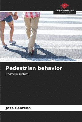 Pedestrian behavior 1