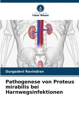 Pathogenese von Proteus mirabilis bei Harnwegsinfektionen 1
