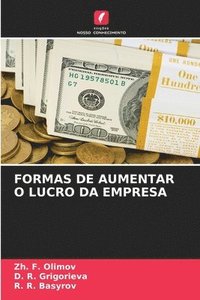 bokomslag Formas de Aumentar O Lucro Da Empresa