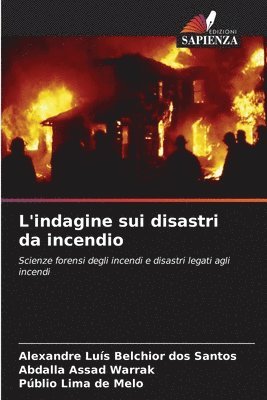 bokomslag L'indagine sui disastri da incendio