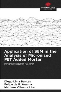 bokomslag Application of SEM in the Analysis of Micronised PET Added Mortar