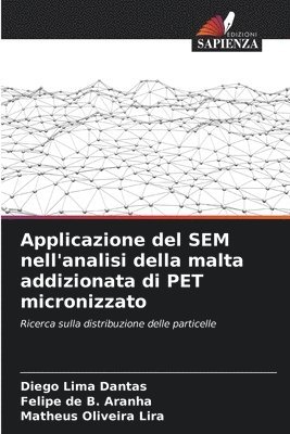 Applicazione del SEM nell'analisi della malta addizionata di PET micronizzato 1