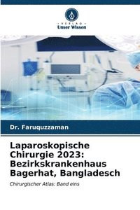 bokomslag Laparoskopische Chirurgie 2023