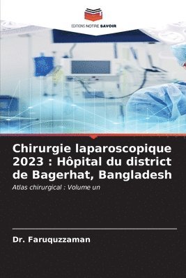 bokomslag Chirurgie laparoscopique 2023