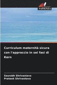 bokomslag Curriculum maternit sicura con l'approccio in sei fasi di Kern