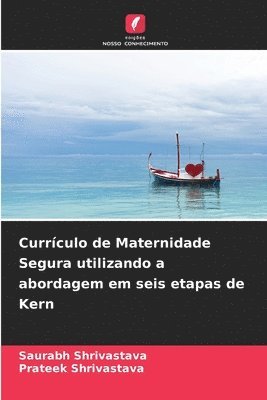 bokomslag Currculo de Maternidade Segura utilizando a abordagem em seis etapas de Kern