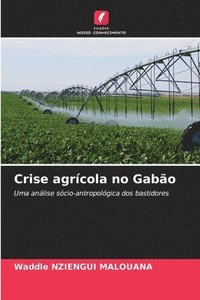 bokomslag Crise agrcola no Gabo