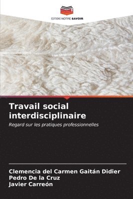 bokomslag Travail social interdisciplinaire