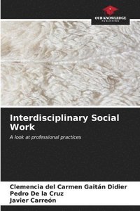 bokomslag Interdisciplinary Social Work