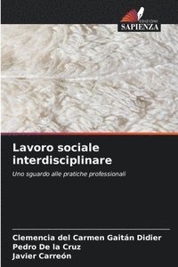 bokomslag Lavoro sociale interdisciplinare