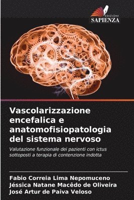Vascolarizzazione encefalica e anatomofisiopatologia del sistema nervoso 1