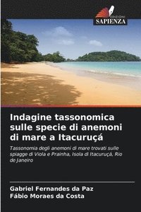 bokomslag Indagine tassonomica sulle specie di anemoni di mare a Itacuru